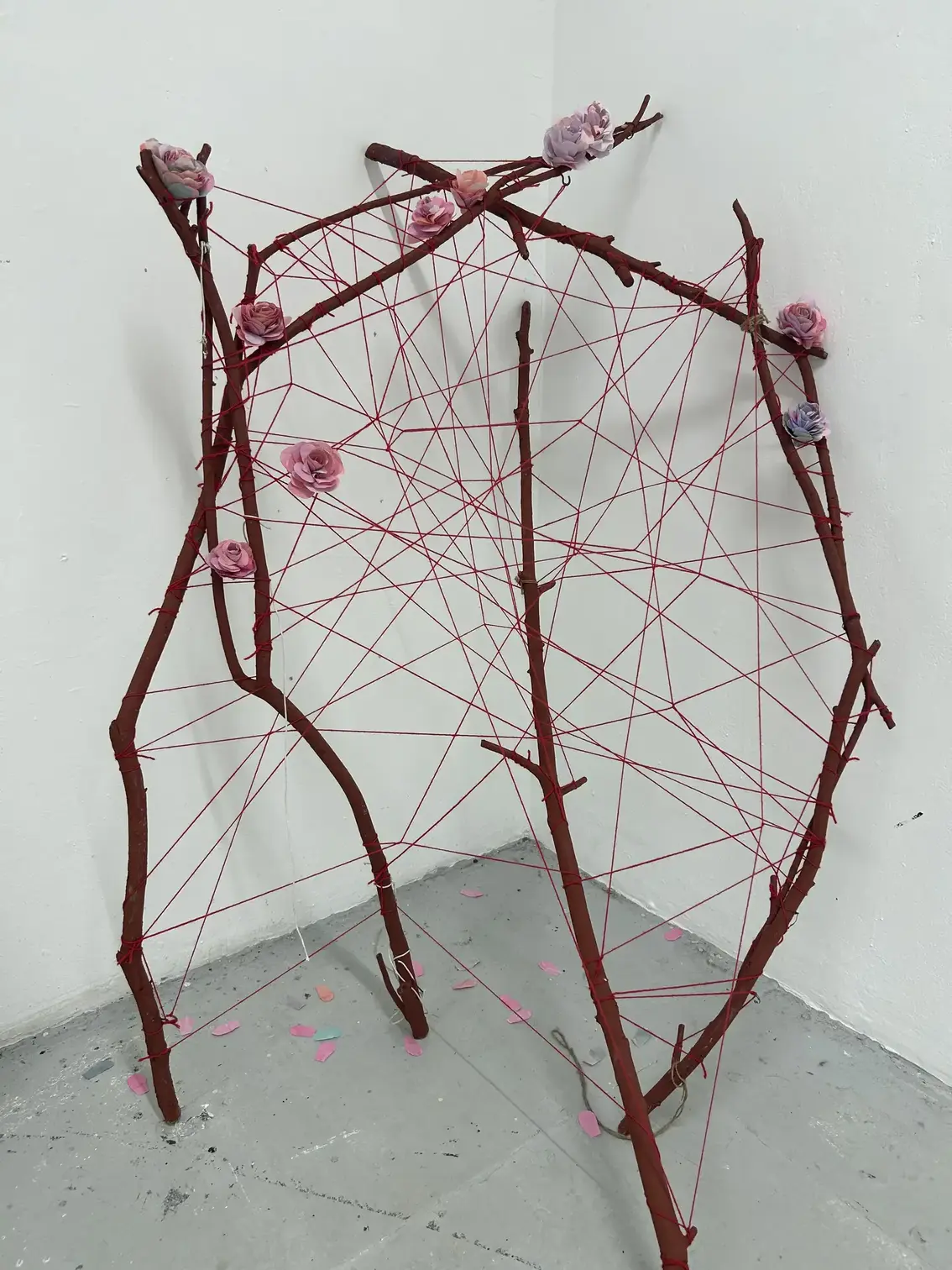 Dissection of a Damsel 1