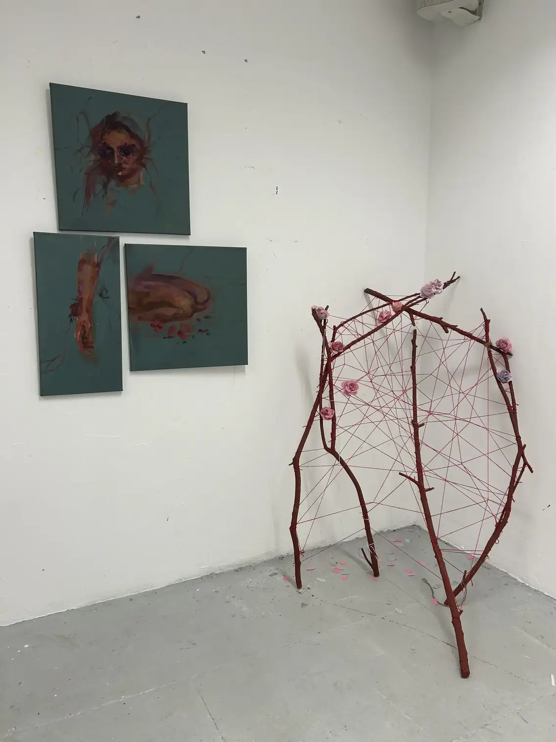 Dissection of a Damsel 2